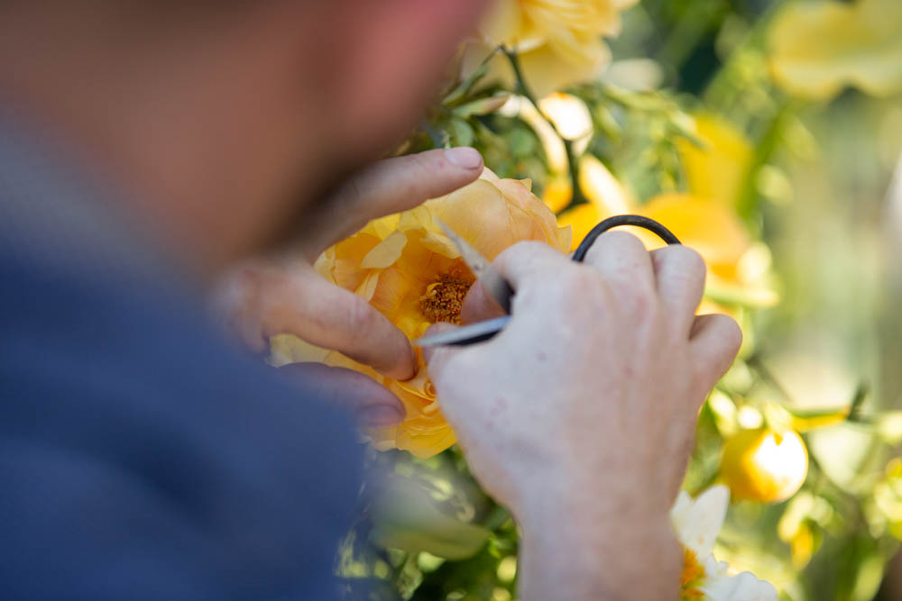 alabama_weddings_rob_and_wynter_photography_floral_design_shoppe_greenhouse-1012