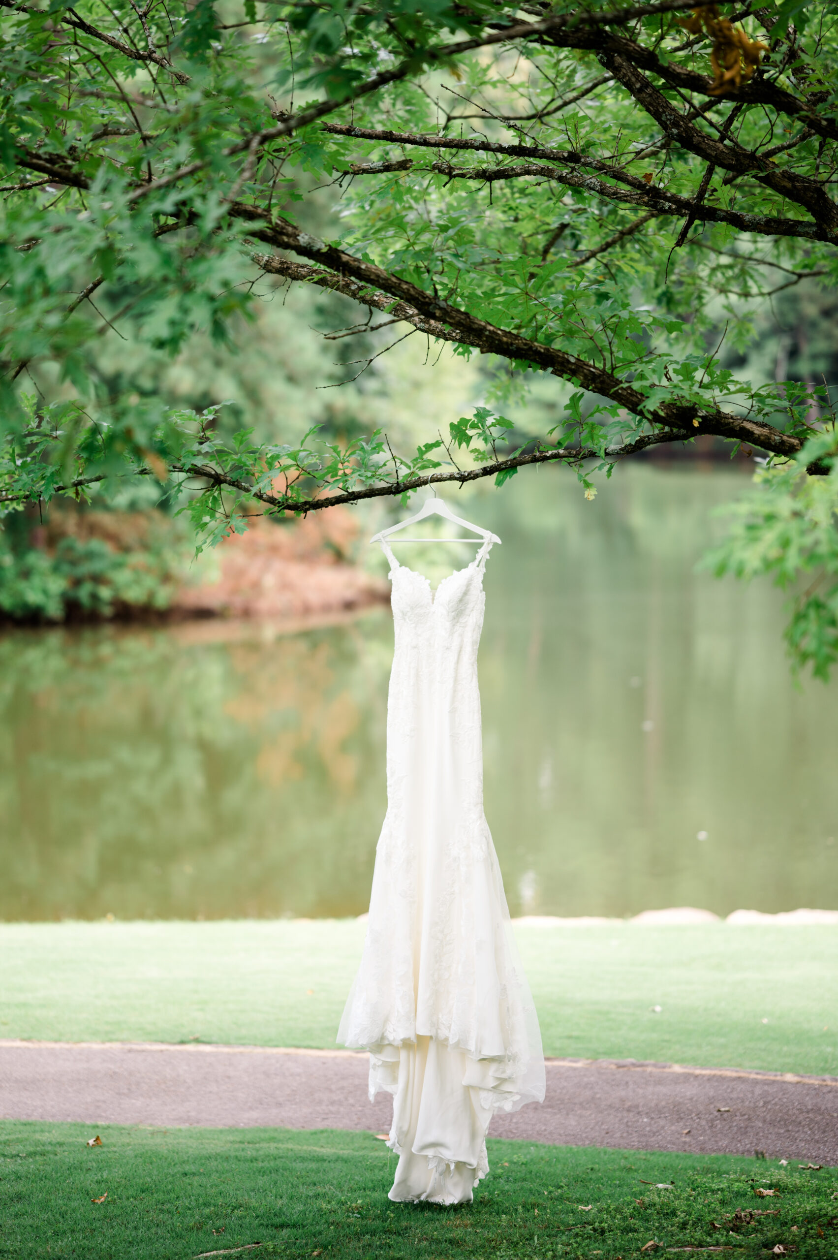 The wedding dress hangs from a tree branch at Aldridge Garden.